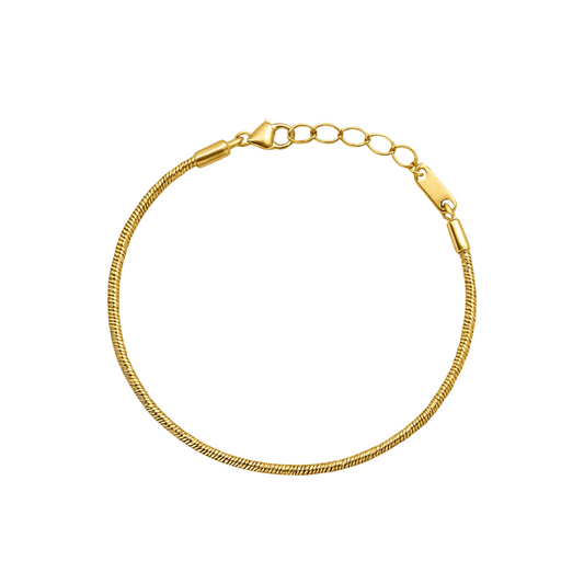 Sleek Snake Bracelet