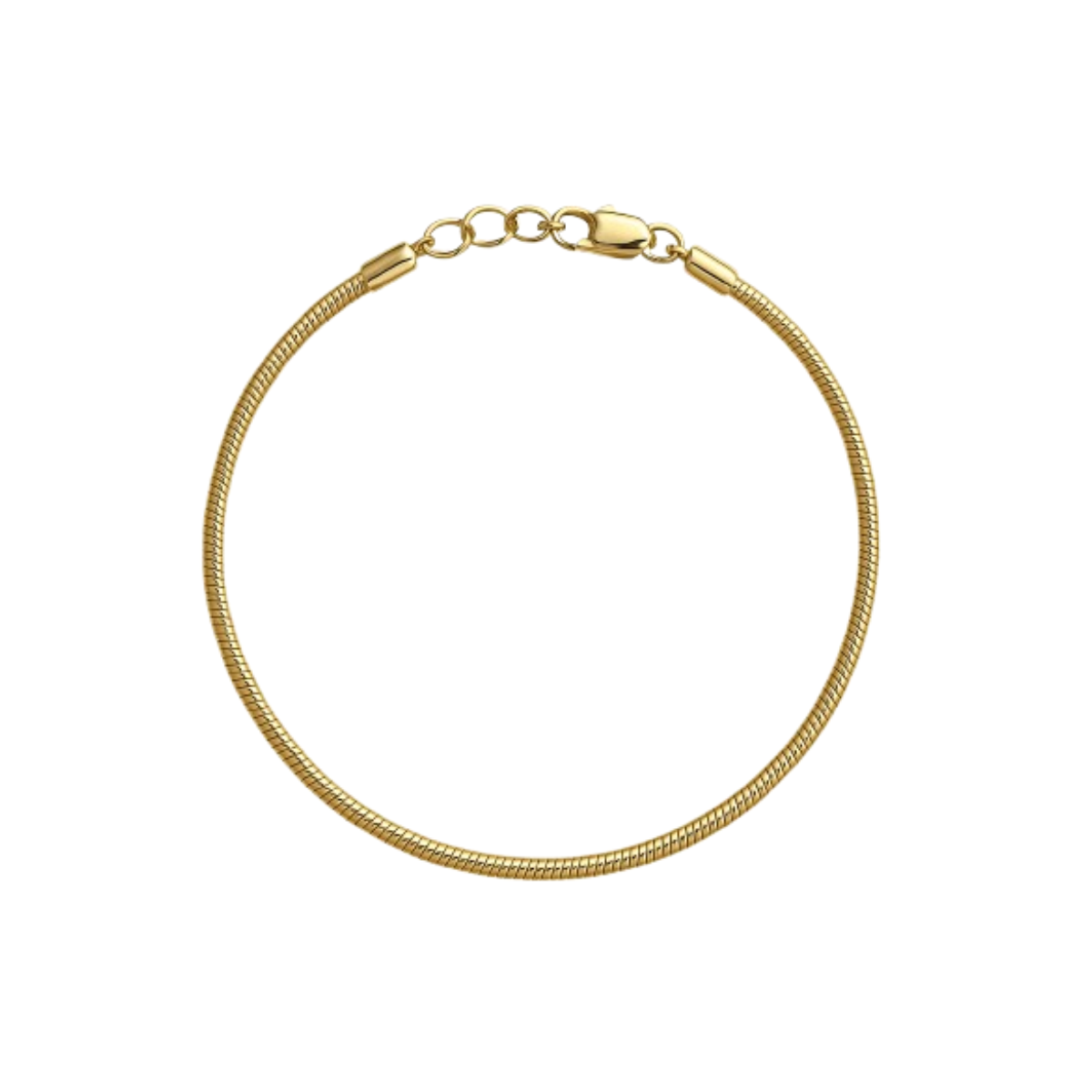 Sleek Snake Bracelet